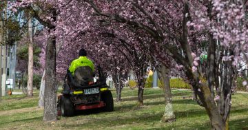 Spring tipped to be warmer and wetter than average with BOM on La Nina watch