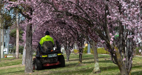 Spring tipped to be warmer and wetter than average with BOM on La Nina watch