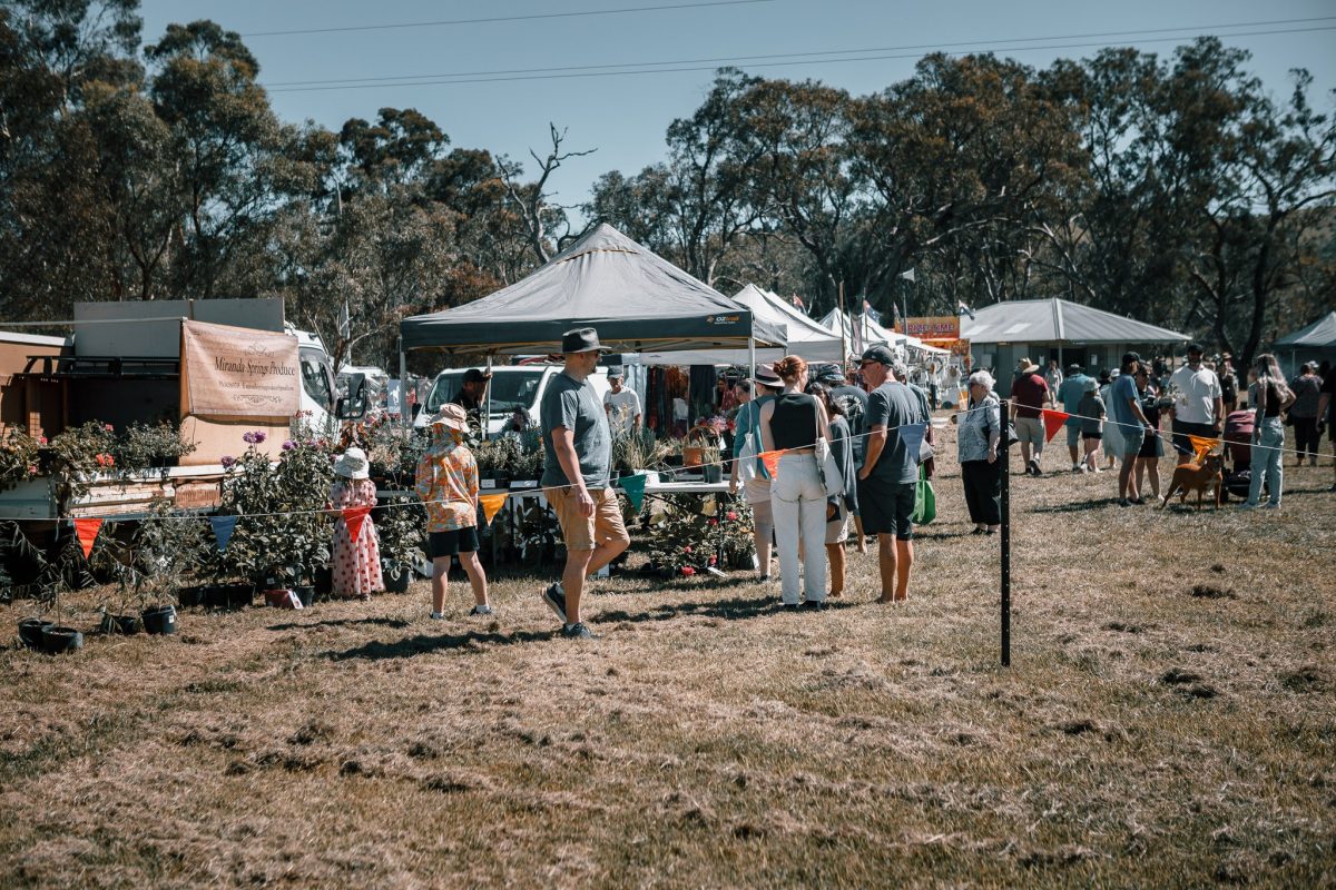 stalls at the hall markets