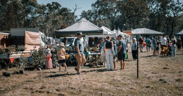 The best markets in Canberra