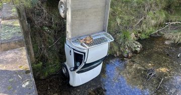 You can't park there, mate! Ute faceplants into South Coast creek after common park brake mistake