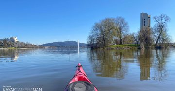 The 'Kayakcameraman' is back! And he says Lake Burley Griffin has never looked prettier