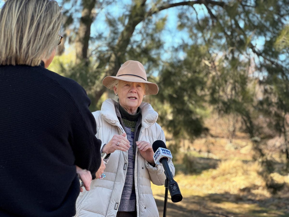 Marianne Albury-Colless being interviewed by WIN News.