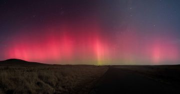 Aurora Australis 'exploded' over the Monaro this week and this photographer caught its crescendo