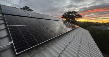 Rooftop solar and batteries to slash power bills for social housing tenants