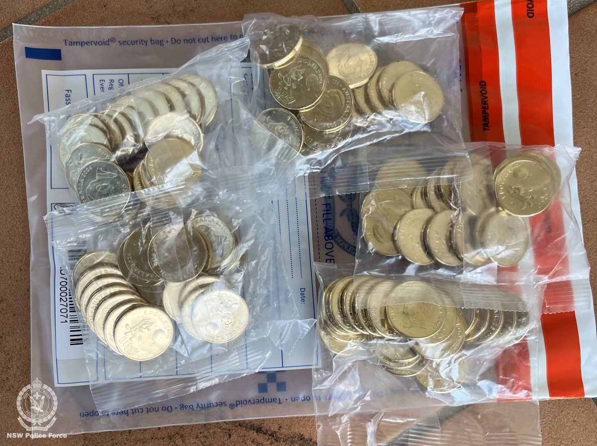 Bluey coins were seized