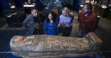 Museum's Egyptian exhibition set to wrap up as most popular on record