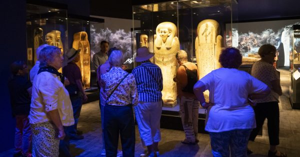 'Discovering Ancient Egypt' officially marks museum's greatest hit