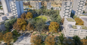 High-rises among the trees: SLA's vision for Gungahlin Town Centre's undeveloped east side