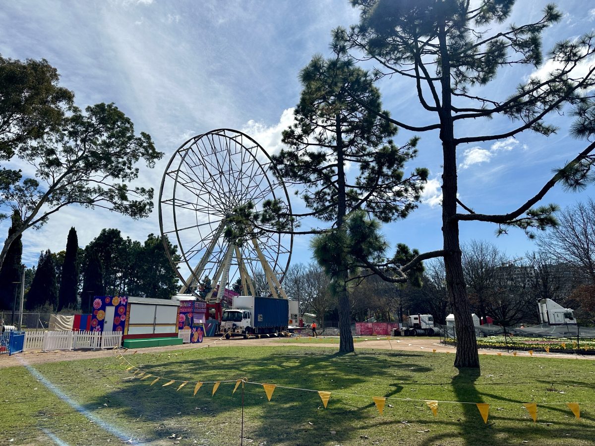 Ferris wheel carnival set-up