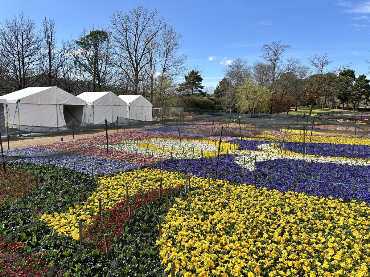 Flower bed