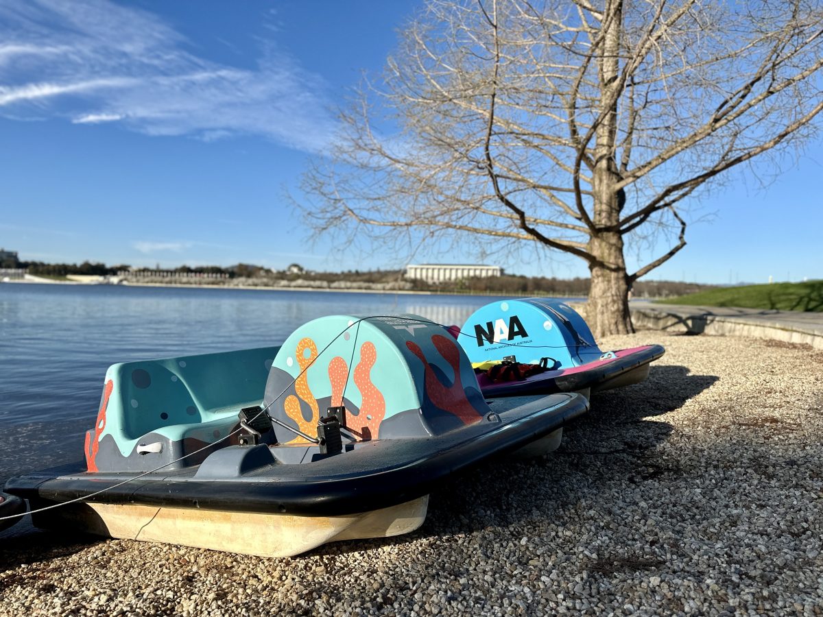 Paddle boats