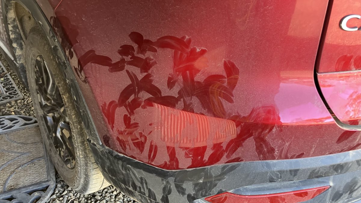 Car with kangaroo lick marks