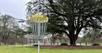 Come across these weird-looking baskets in Canberra's parks? Here's what they're for