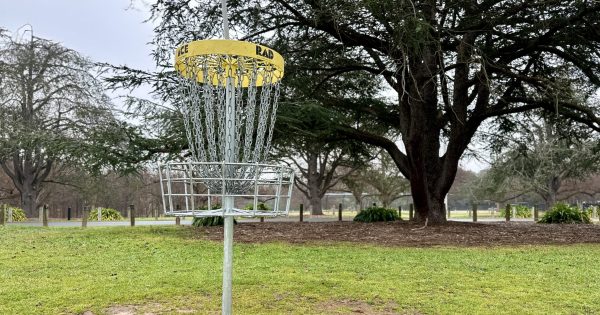 Come across these weird-looking baskets in Canberra's parks? Here's what they're for