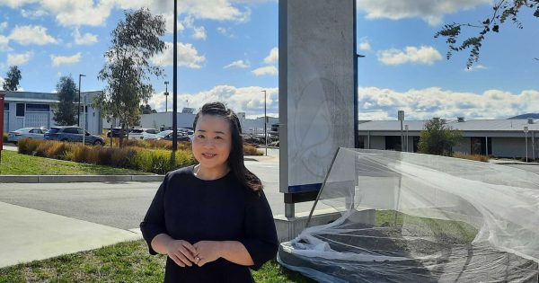 Canberra Liberals commit $98 million to implementing literacy and numeracy reforms in schools package