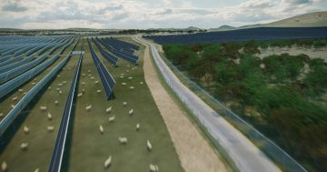 ACT still in dark on Wallaroo solar farm concerns