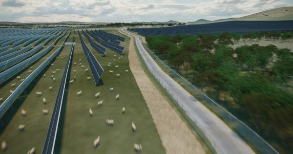 Landholders to challenge Wallaroo Solar Farm approval