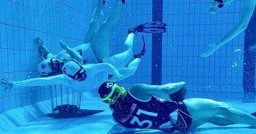 Forget about a new pool in Commonwealth Park: Canberra's underwater rugby club has other ideas