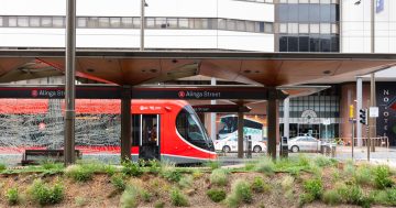 'A parent's worst nightmare' has passengers asking if light-rail's doors stay open long enough