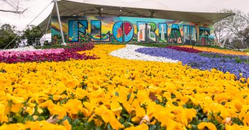 Permanent changes flagged for Commonwealth Park to make hosting Floriade cheaper and easier