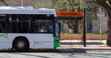 Man videoed allegedly committing indecent act in front of teen on bus