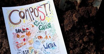 Save the world: start composting