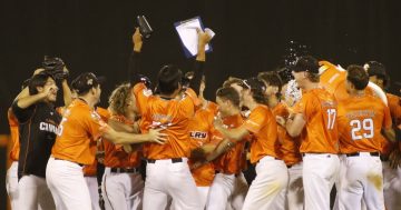 Canberra Cavalry vs Perth Heat