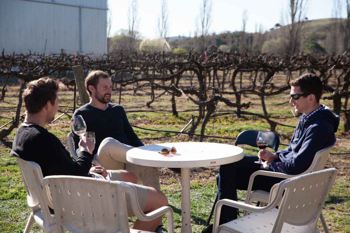 three men sitting outside at a vineyard