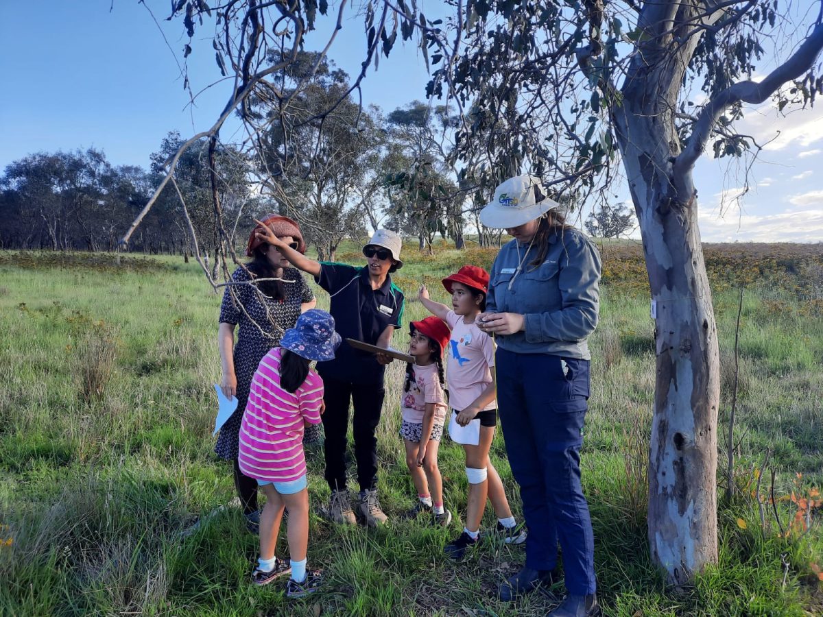 Kids and adults standing under a tree