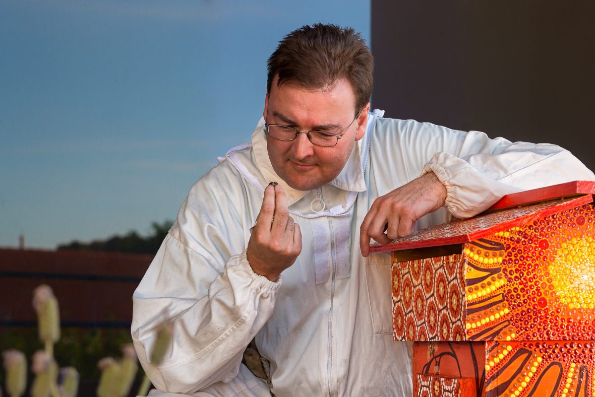 Beekeeper checks his hives