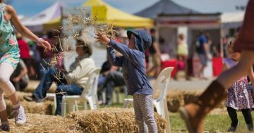 Murrumbateman Field Days