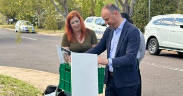 'Second-hand Sundays': Labor's plan to reduce Canberra's illegal dumping problem