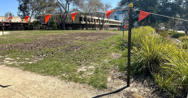 ANU says pro-Palestine protest has left the campus with $60,000-worth of damage