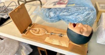 More than a century of Canberra's medical history recovered from hospital basement