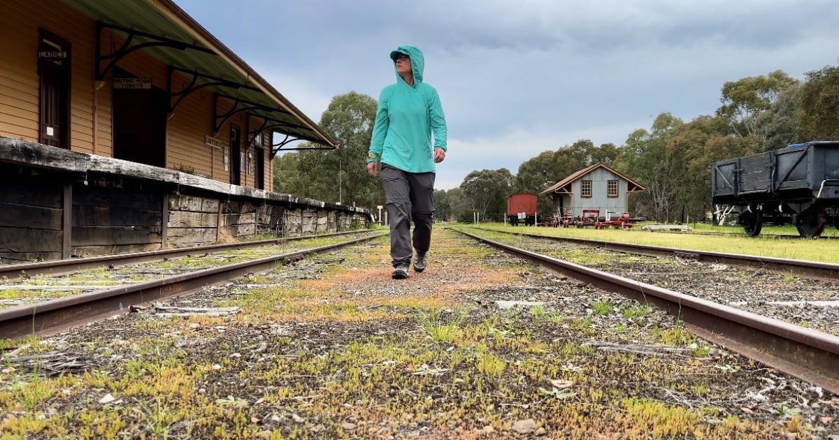 Could rail trails pave the way to a booming visitor economy in the Riverina and Snowy Valleys? | Riotact