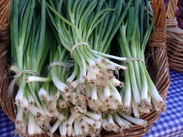 Spring onions