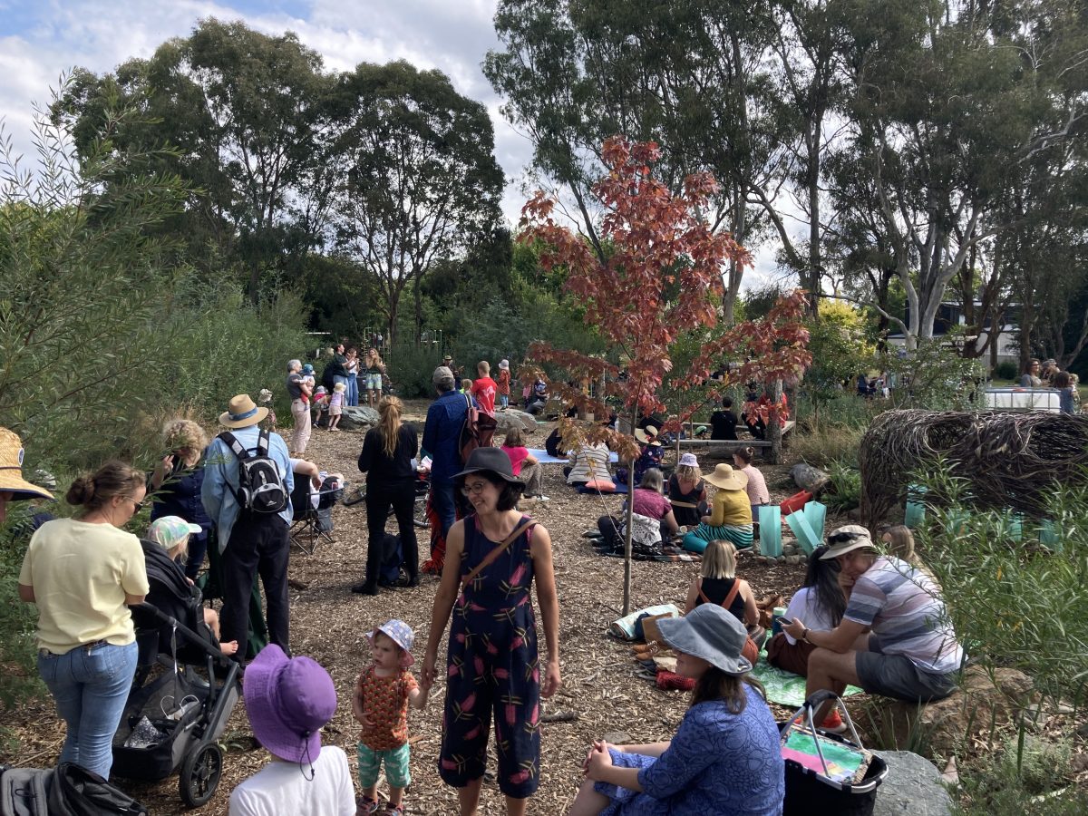 People wander around a microforest