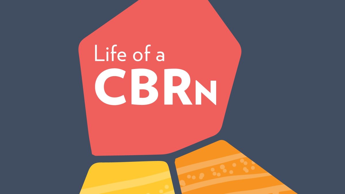 Coloured stepping stone graphic in red, orange and yellow on a dark navy background with Life of a CBRn logo mark inside the largest stepping stone. 