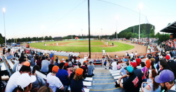 Canberra Cavalry vs Melbourne Aces