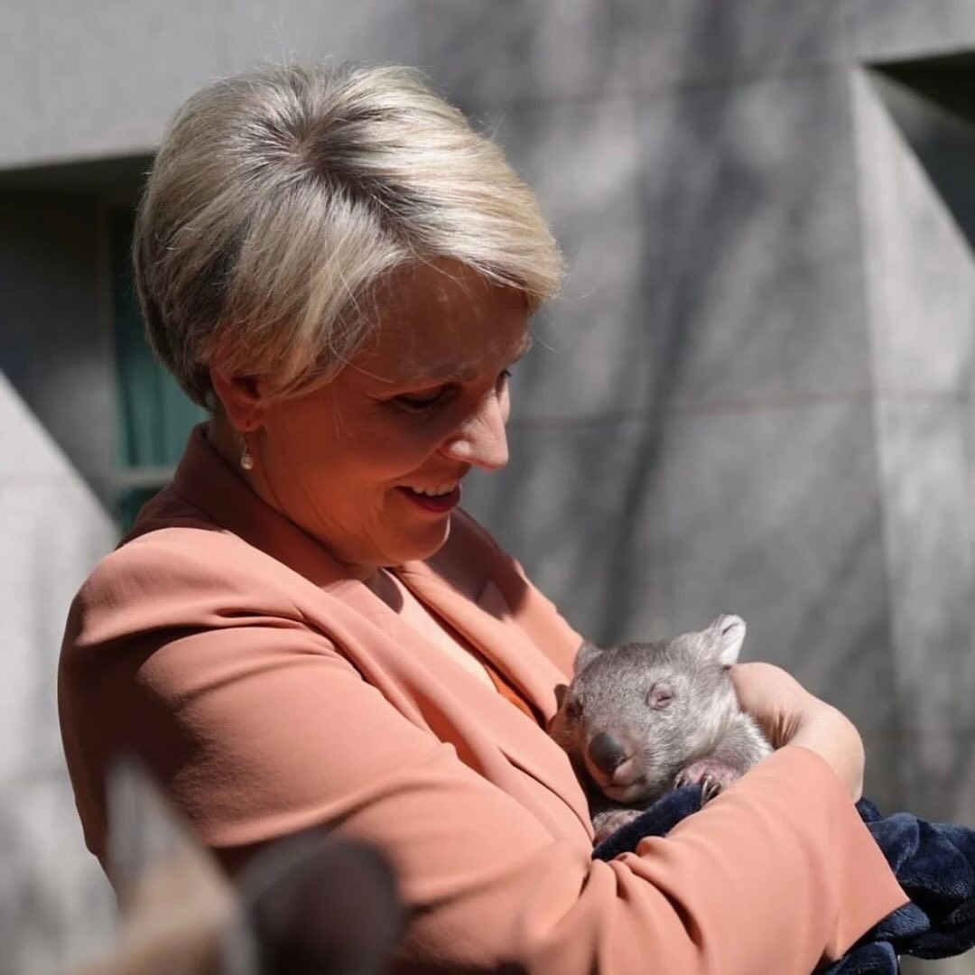 woman holding a baby wombat