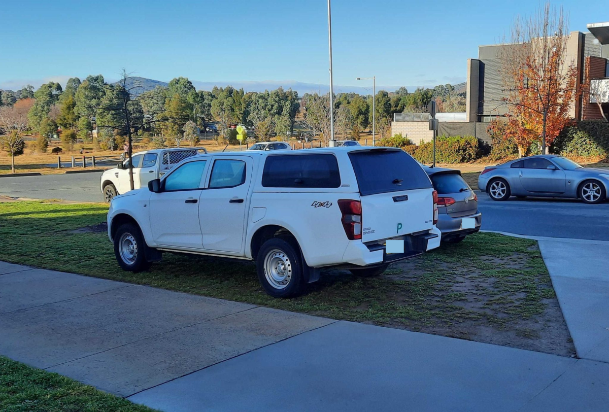 cars parking on grass