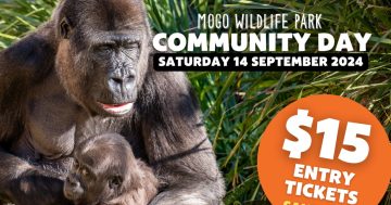 Mogo Wildlife Park - 2024 Community Day