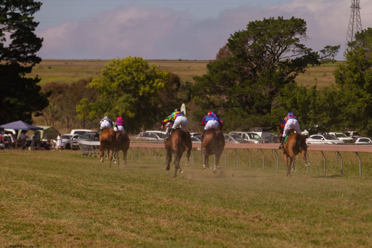 picture of horses racing 