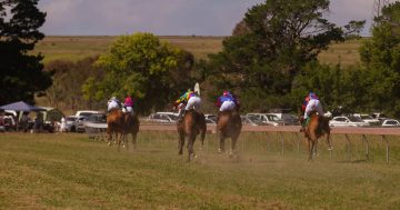 Yass Picnic Races