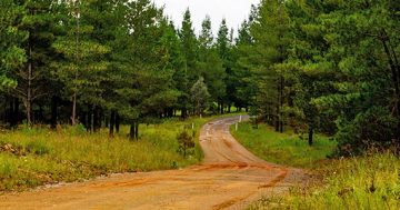 Kowen Forest town centre: unsustainable urban sprawl or visionary planning?