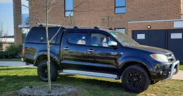 Stay off my grass! Canberra's nature strips shouldn't be parking lots