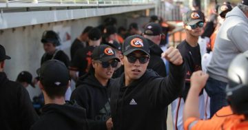 Canberra Cavalry vs Sydney Blue Sox