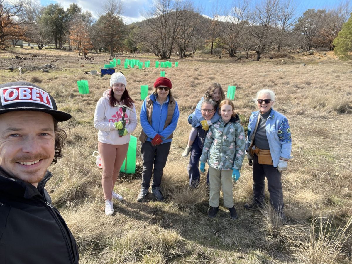 Volunteers from Friends of Ainslie Volcanics