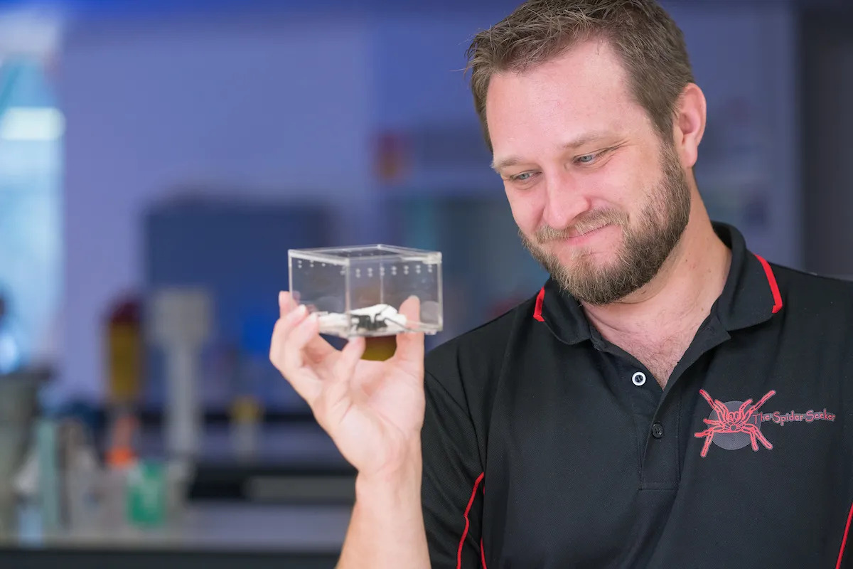 man holding spider in a glass cage